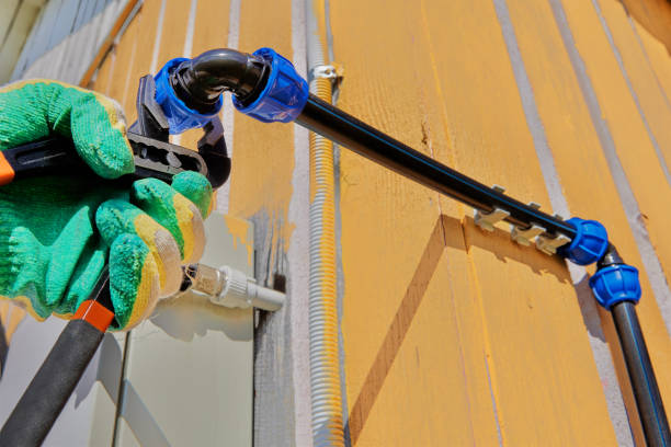 Best Plumbing Repair Near Me  in Pirtleville, AZ